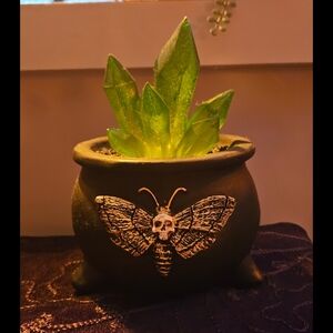 Death Moth Light Up Crystal Planter